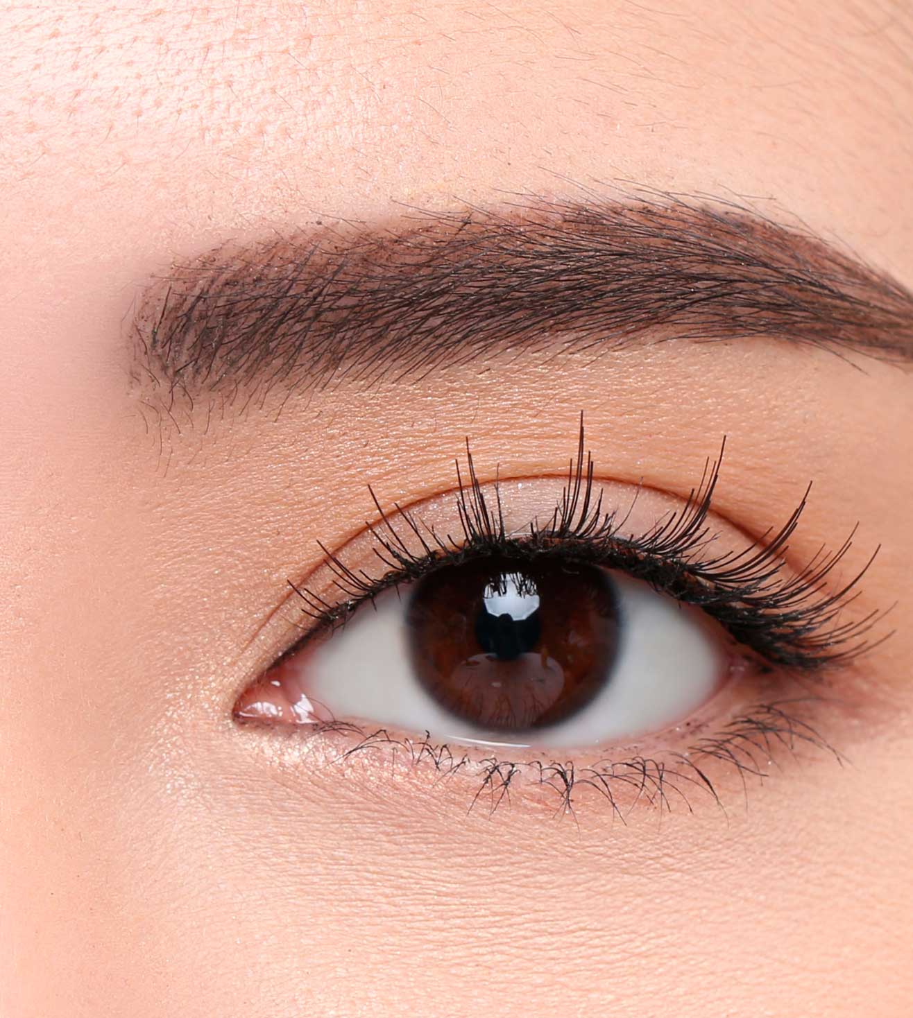 GLAMOUR LASH 103 BLACK FALSE EYELASHES-60310
