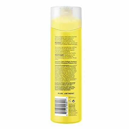 Strictly Curls Frizz Sealing Conditioner